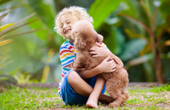 The Importance of Supervising Children Around Unfamiliar Dogs